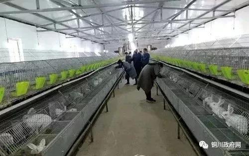 铜川农村真实生活视频,铜川人的小康生活