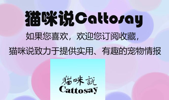 在公司养宠物真的好么？你记得避免5种间接伤害