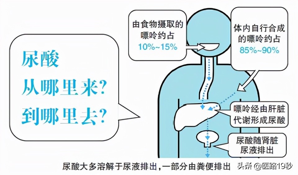 尿酸619喝水能降下来吗,尿酸600喝水能降下来吗