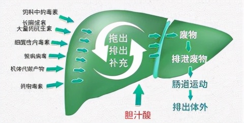 新玉米丰收！捣“蛋”鬼霉菌毒素也来了