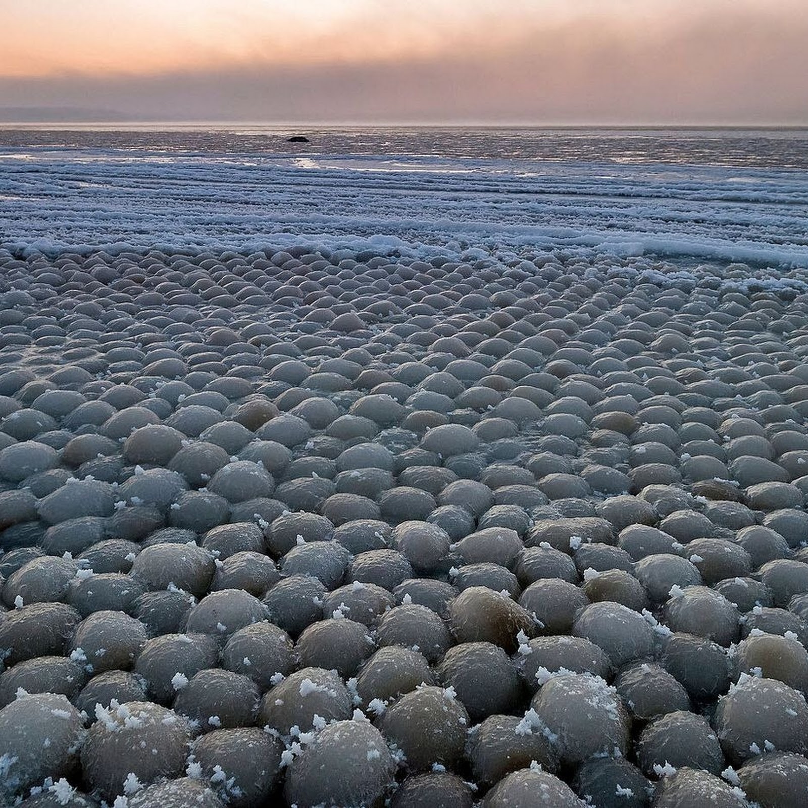 海滩石头上密密麻麻尖尖的是什么,海滩发现奇异石头