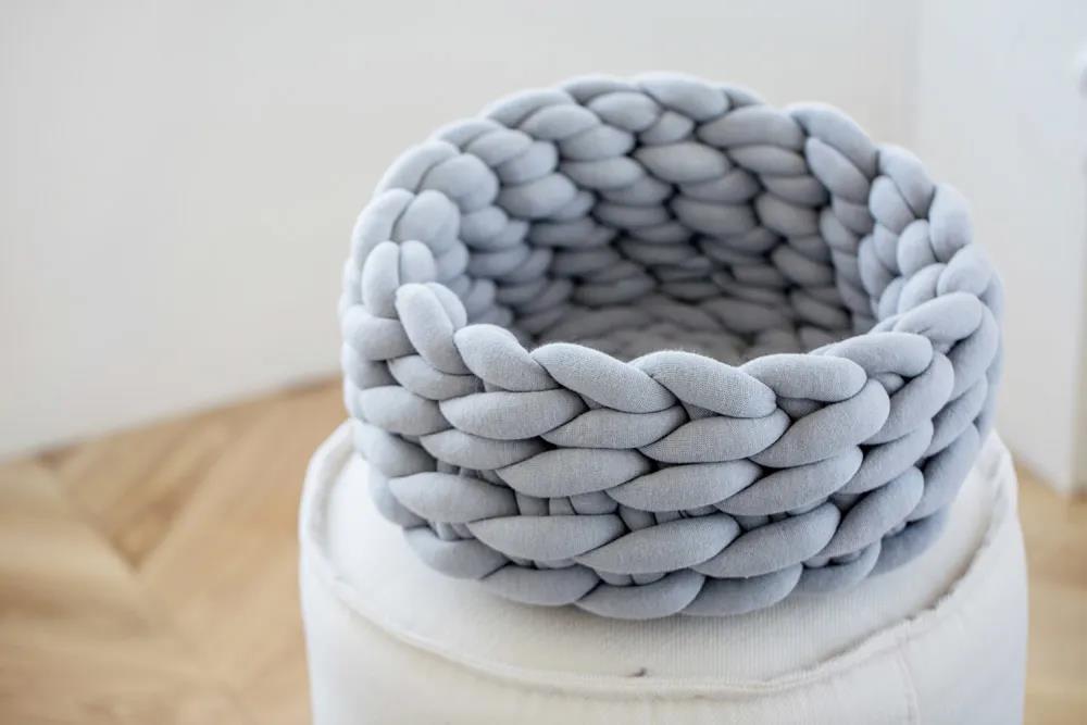 未来5年宠物智能产品,宠物产品logo设计