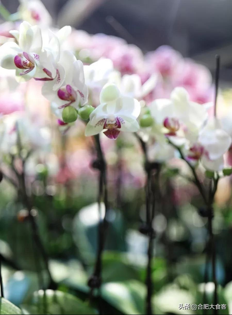 <html>
<head><title>502BadGateway</title></head>
<body>
<center><h1>502BadGateway</h1></center>
<hr><center>nginx</center>
</body>
</html>
<!--apaddingtodisableMSIEandChromefriendlyerrorpage-->
<!--apaddingtodisableMSIEandChromefriendlyerrorpage-->
<!--apaddingtodisableMSIEandChromefriendlyerrorpage-->
<!--apaddingtodisableMSIEandChromefriendlyerrorpage-->
<!--apaddingtodisableMSIEandChromefriendlyerrorpage-->
<!--apaddingtodisableMSIEandChromefriendlyerrorpage-->
