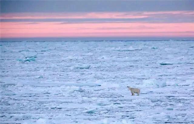 霍金预言地球什么时候会到末日,霍金预言2030年会发生什么