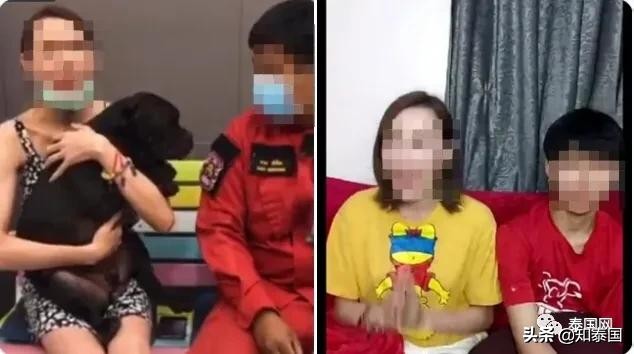 “变性人打狗”泰国热搜?比灾难更可怕的是灾难中现形的人心险恶