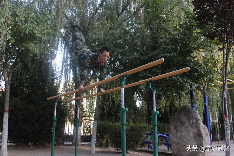 训练高手的武功,训练高手攻略