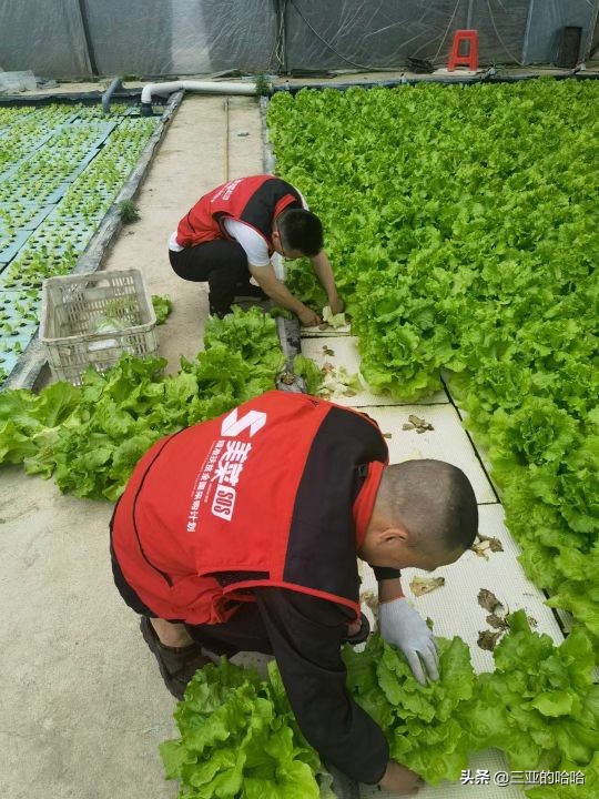 社区团购未来3年会出现什么情况,社区团购巨头退出