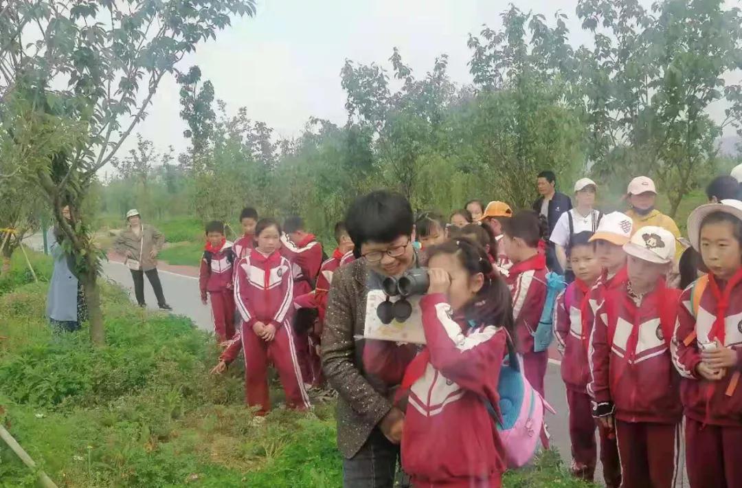 爱鸟保护野生动物,安徽平天湖国家湿地公园