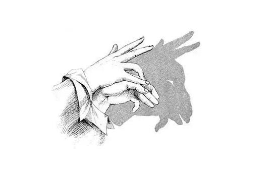 宝宝睡前玩的手影游戏,儿童手脑协调游戏