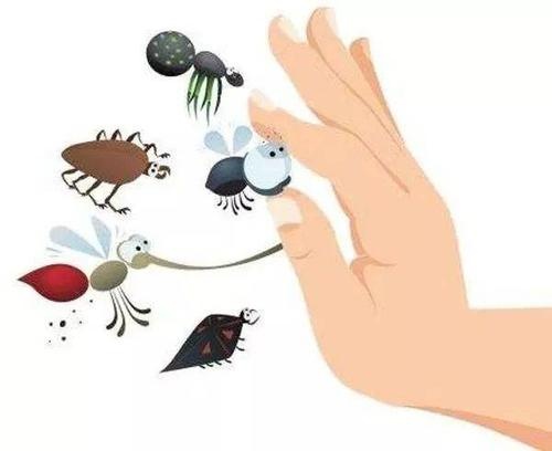 端午节怎么避毒,端午节需要注意的事项