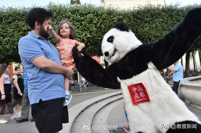 熊猫宝宝来中国,成都熊猫婴儿