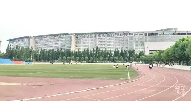 原来郑州这么美2018,19年的郑州真的很美