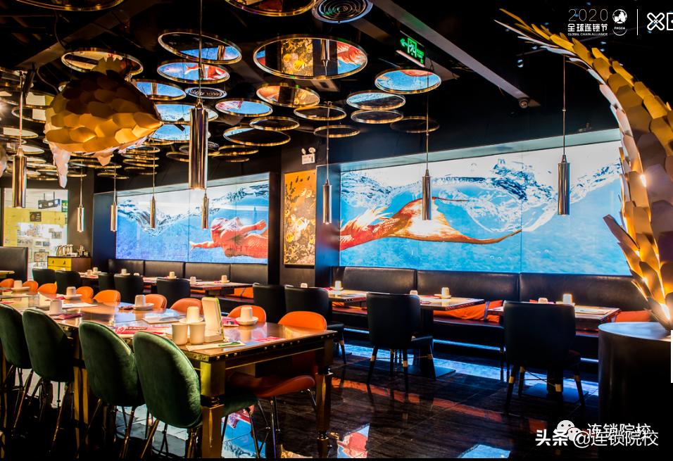 鱼非鱼刘峰完整视频,刘峰创始人鱼非鱼