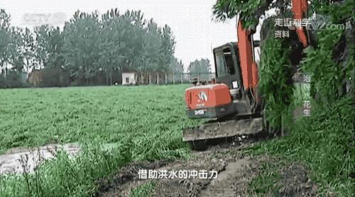 这三种危险植物千万别碰,被吃掉拉出来还能继续生长的植物