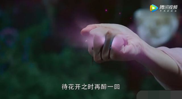 旭凤怎知不是六瓣霜花,香蜜锦觅杀旭凤灰飞烟灭