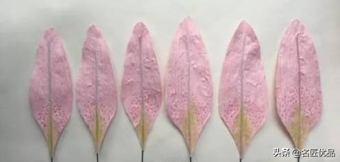 母亲节礼物九块钱的花,母亲节礼物该送什么花好