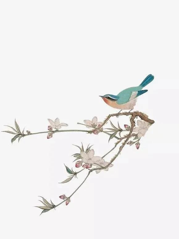 硅藻泥中式背景墙效果图客厅,硅藻泥电视背景墙新中式