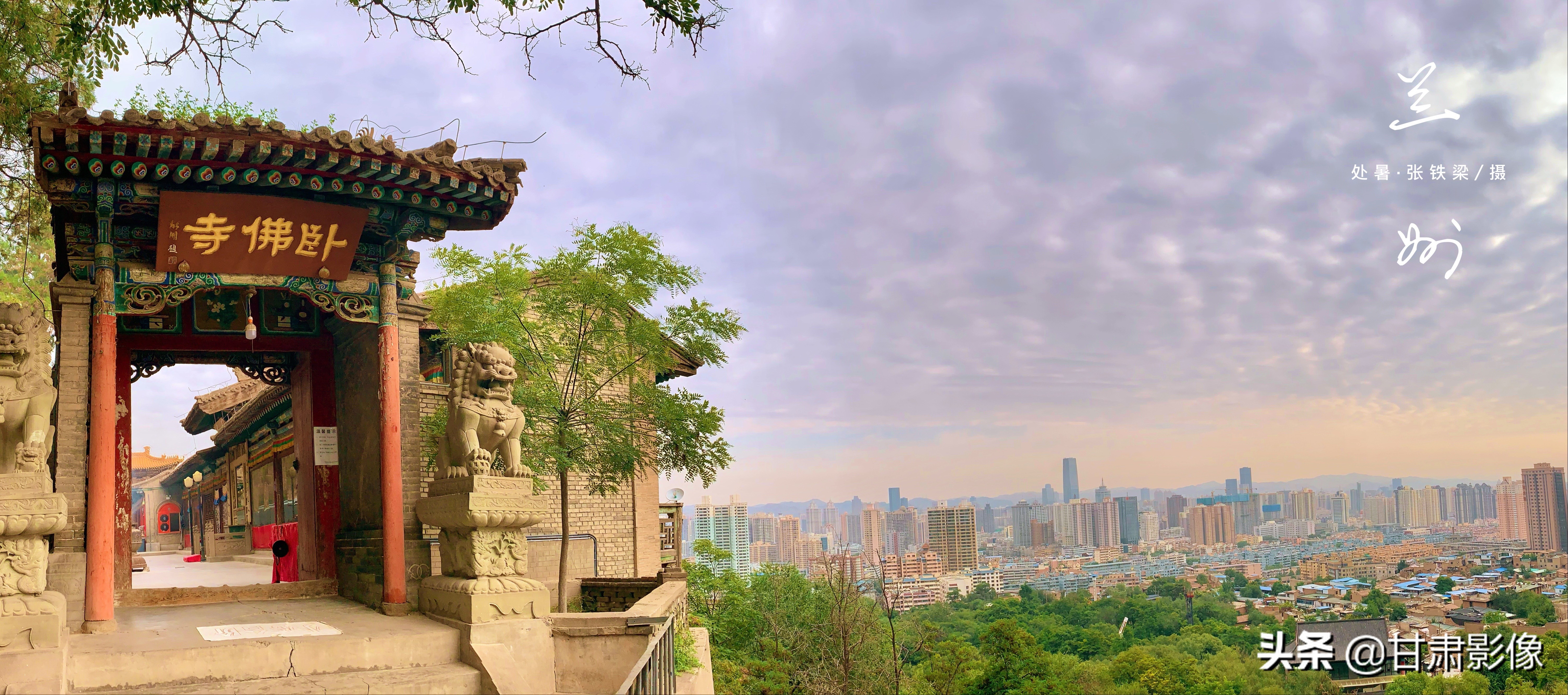 告别2021年的夏天手机摄影,简单手机摄影2020不平凡的一年