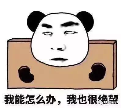 百诺恩纸尿裤真假,凯儿得乐和百诺恩纸尿裤哪个好