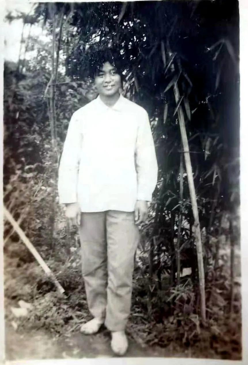 喜剧电影你好李焕英,你好李焕英全部合集