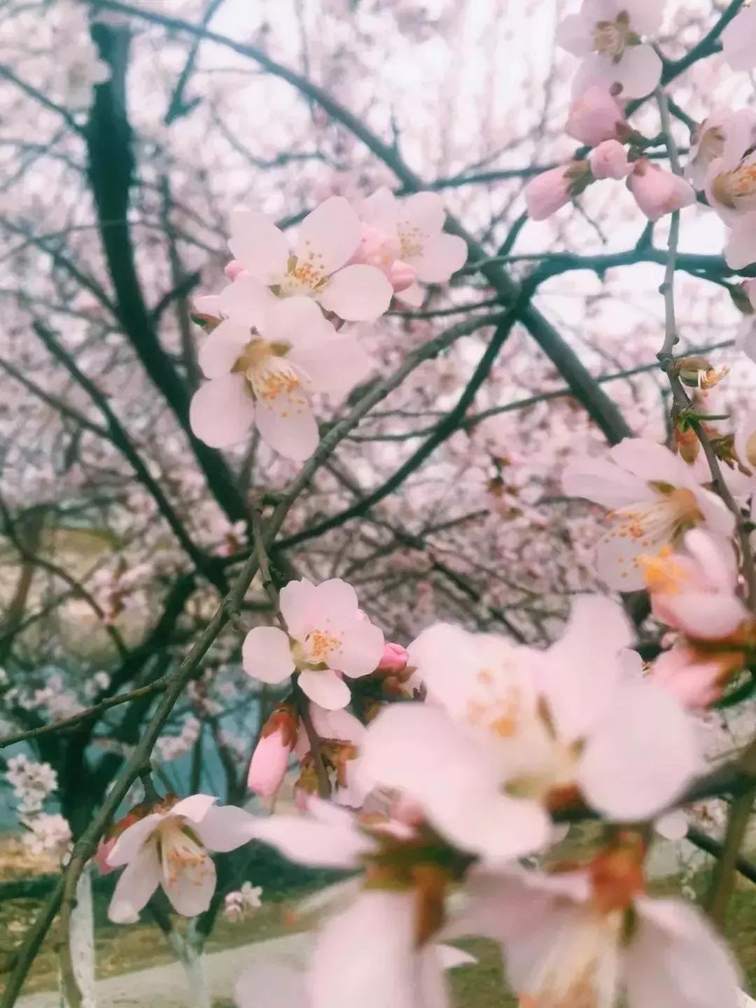 天津旅游必去十大景点天津美食,天津旅游攻略必玩的景点小吃