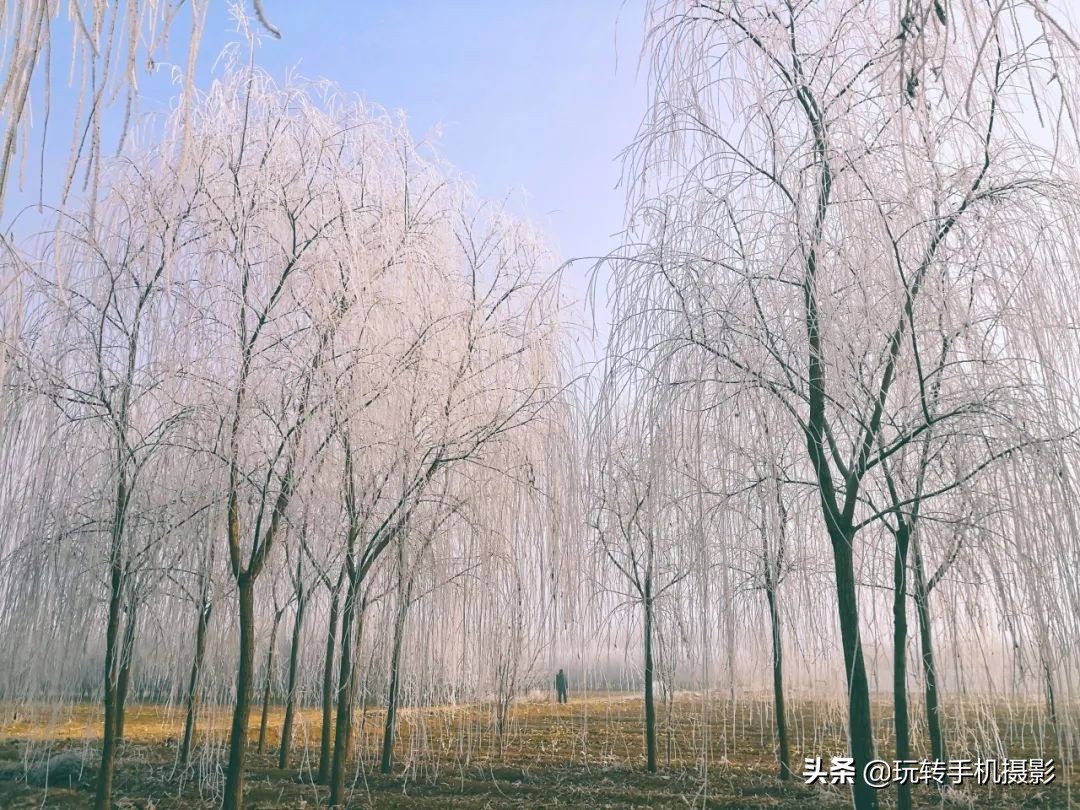 朋友圈赞爆的美照,雪景美爆朋友圈
