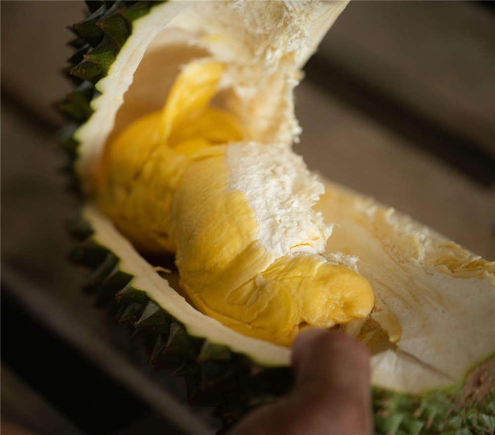 一级能效美的446冰箱,美的519升对开冰箱深度评测