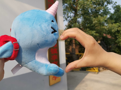 小海豚公益活动策划方案,小海豚计划直播