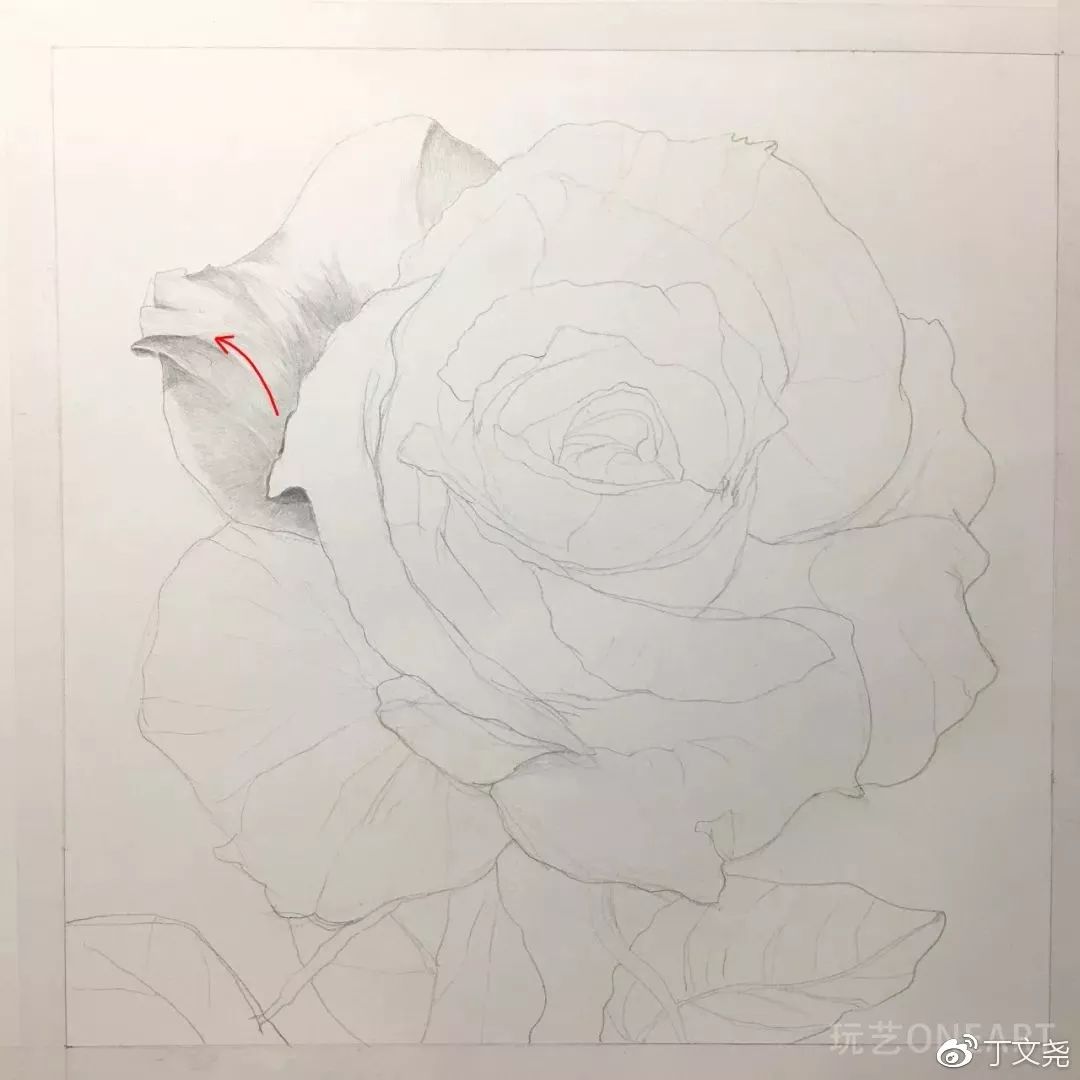素描基础绘画教程郁金香,素描丁程鑫详细教程