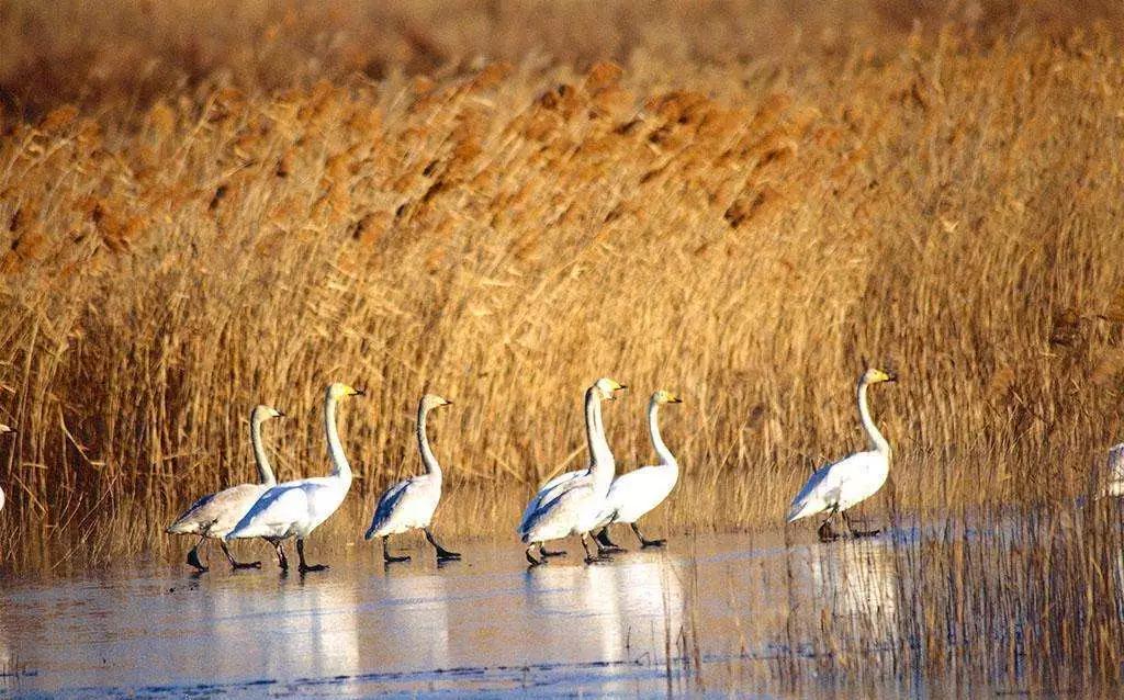 必打卡的宝藏公园,这些宝藏打卡地分分钟让人美到