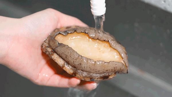 鲍鱼养殖致富经,人工养殖大鲍鱼