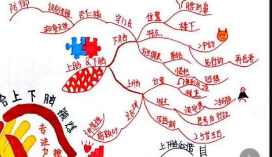 思维导图多大适合孩子学,有必要让孩子学思维导图吗