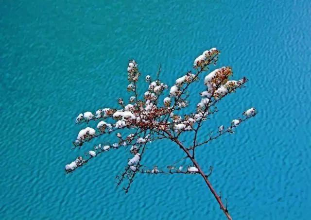 九寨沟旅游神奇的九寨,九寨沟风景不输瑞士