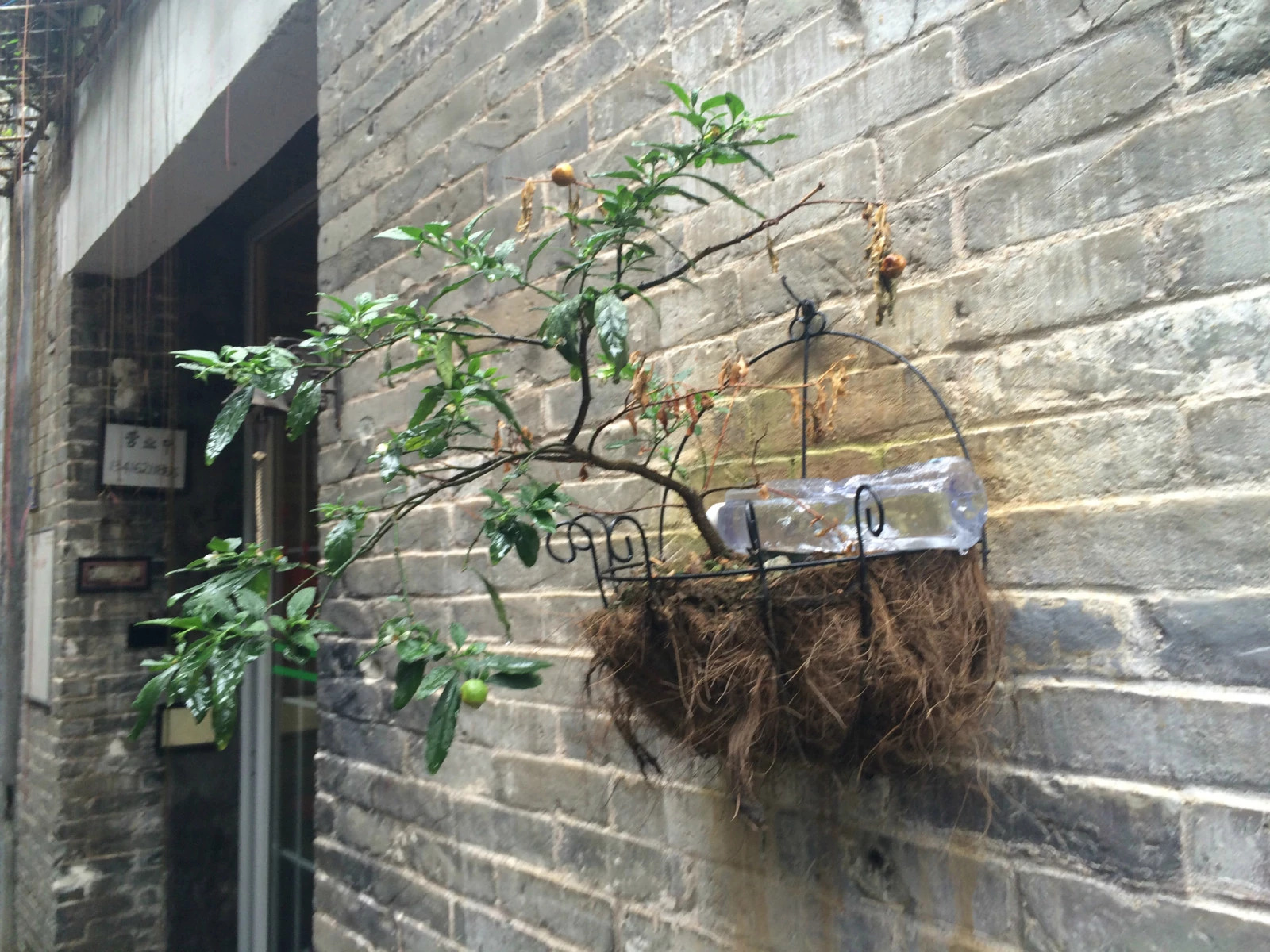 大隐隐于深山,大隐隐于市乌鲁木齐