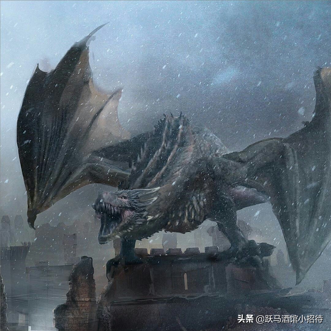 冰与火之歌坎尼会战,冰与火之歌各个家族的分布地