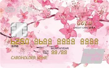 2020年新手最值得申请的信用卡,十大性价比高的小白金信用卡