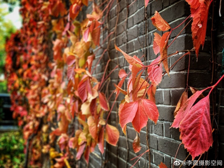 天津五大道纪录片,天津五大道回忆录