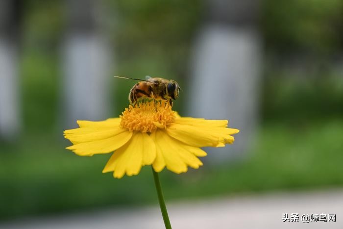 复古相机新选择尼康zfc上手体验,尼康fm2顶级功能