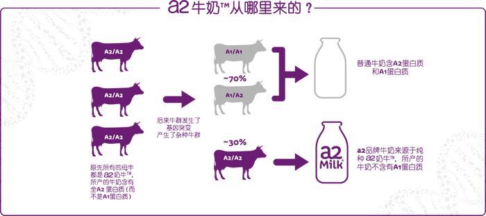 年度金曲大赏第一名有什么奖品,年度大赏精华