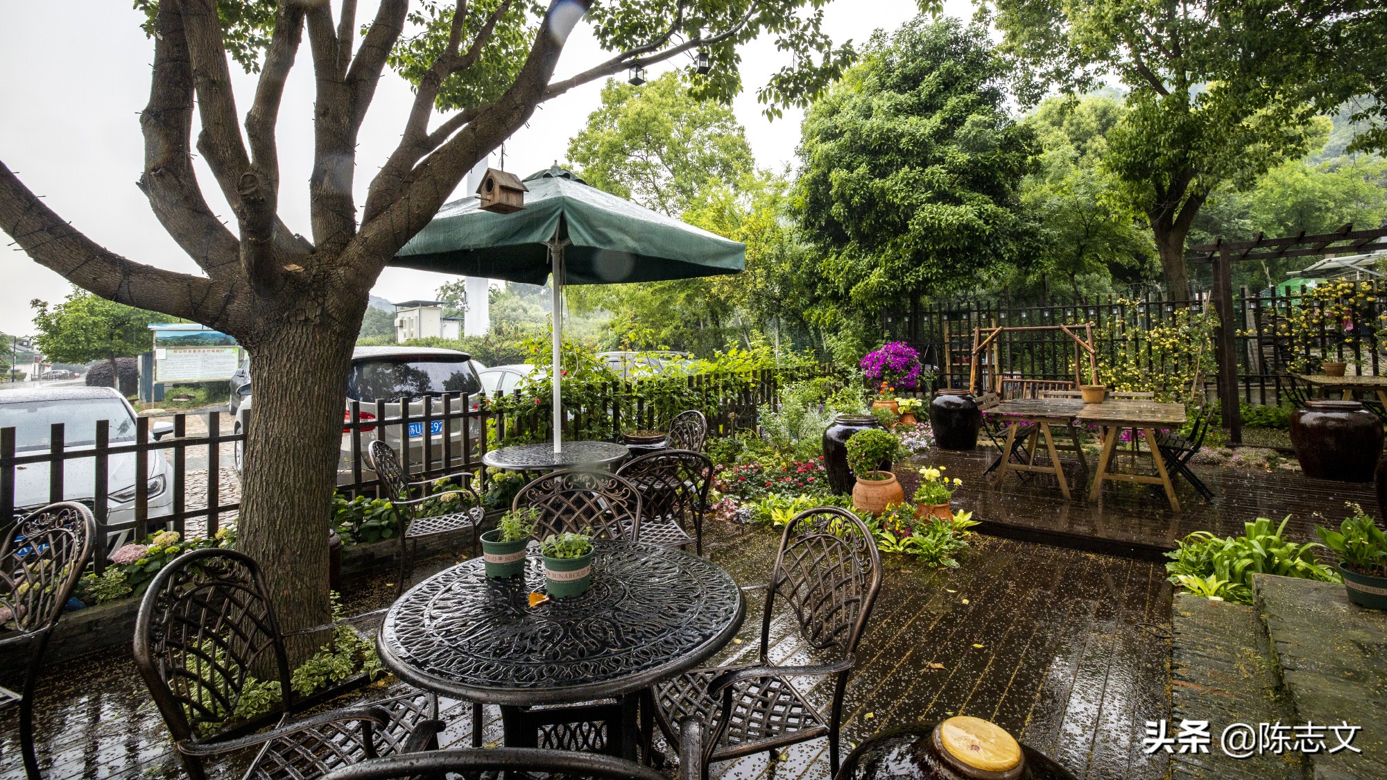 惬意时光生活要有仪式感,惬意时光心存美好