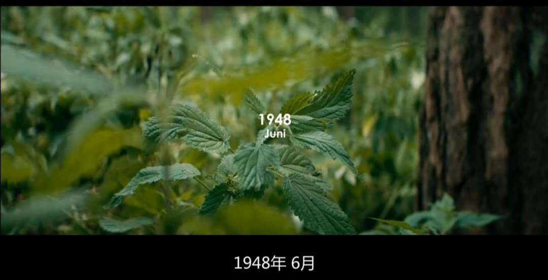 禁忌的孽缘，诠释欲望与痛苦的繁衍