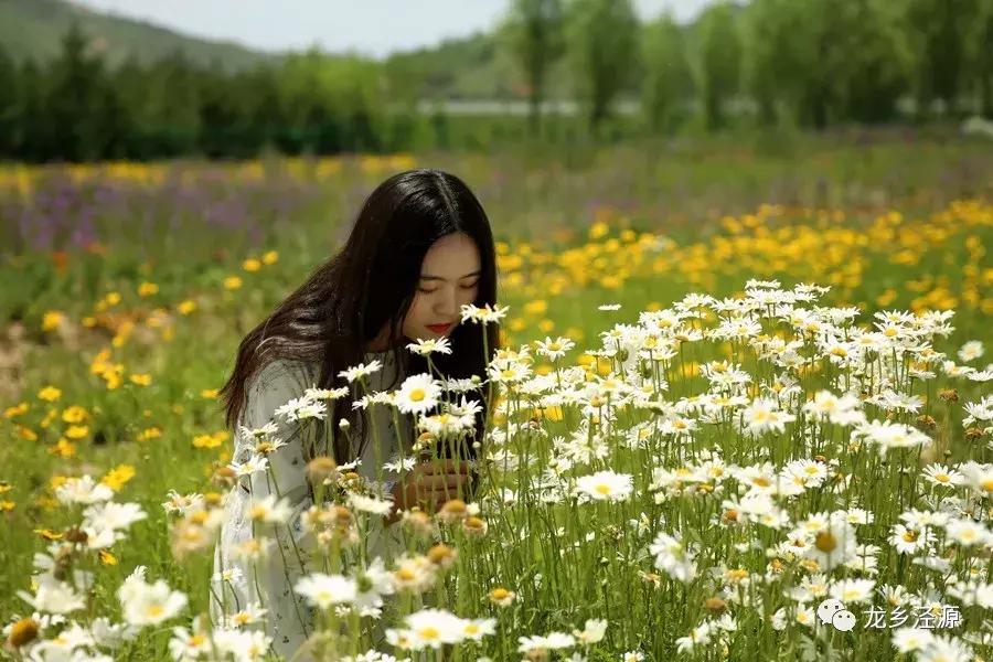 后来的我们，相遇在泾源