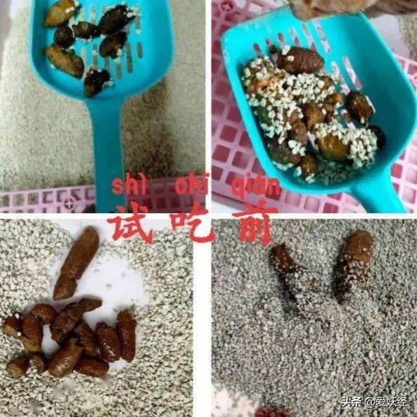 软便精有救了？干了这碗粮，养胃又护肠