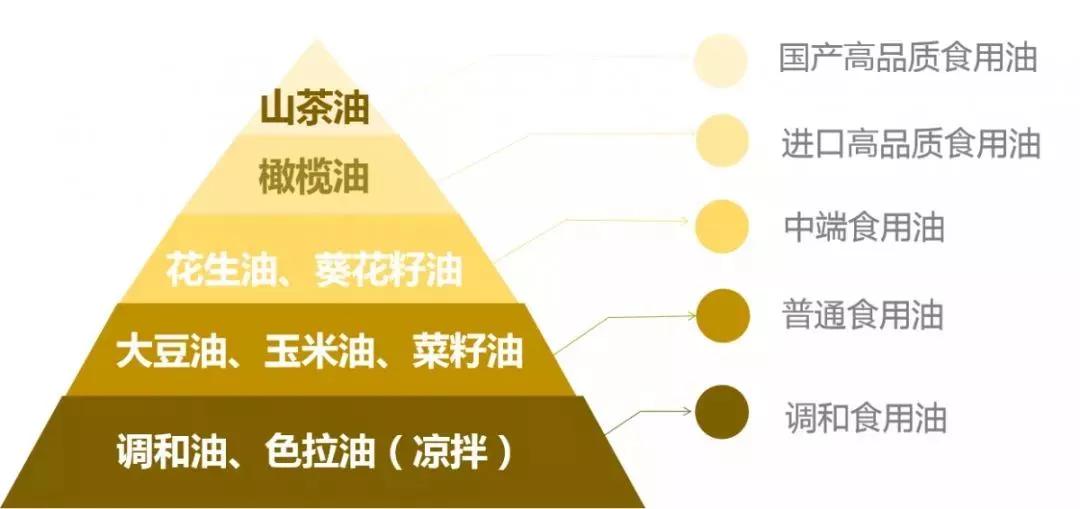 食用油怎么用才会致癌,转基因食用油与癌症