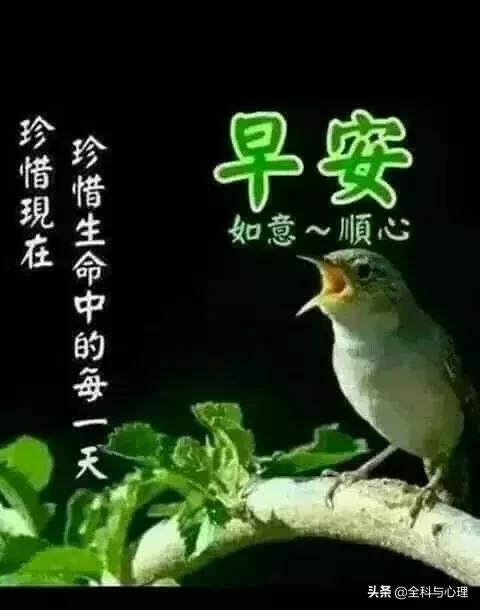早上好暖心问候正能量的句子,2019超暖的早上好短信祝福语大全