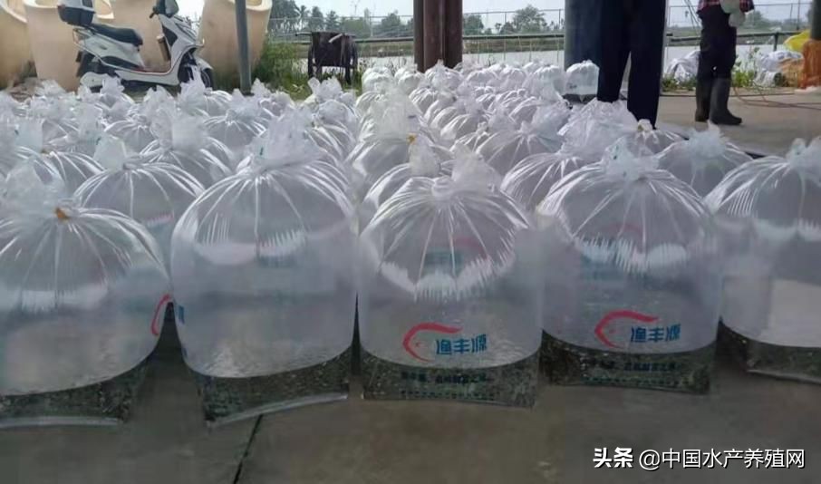 贸易战对罗非鱼影响,中美贸易战对商品价格影响