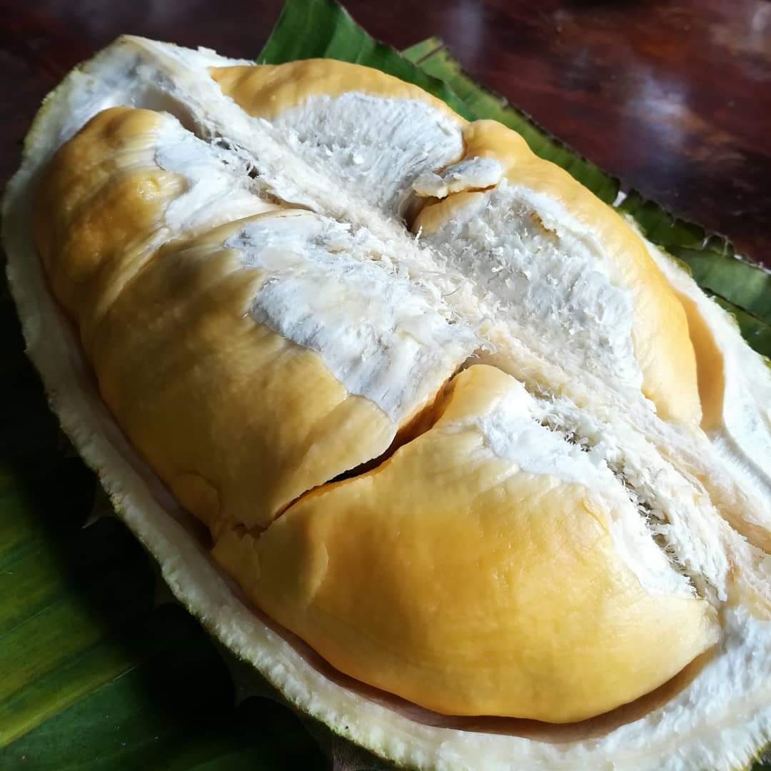 榴莲品种d13,泰国榴莲d197是什么品种