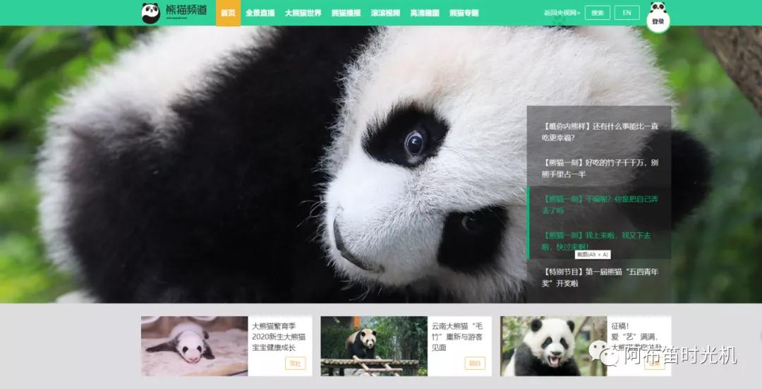 国内可以看熊猫吗,看熊猫要到哪里看