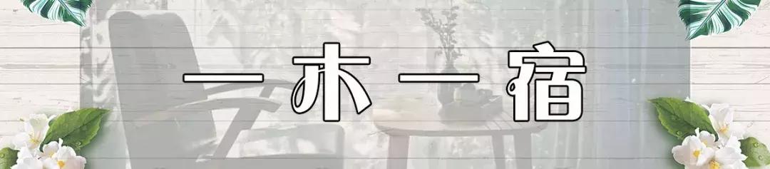 西安最有品位的民宿酒店,西安城市玲珑赛高街区民宿