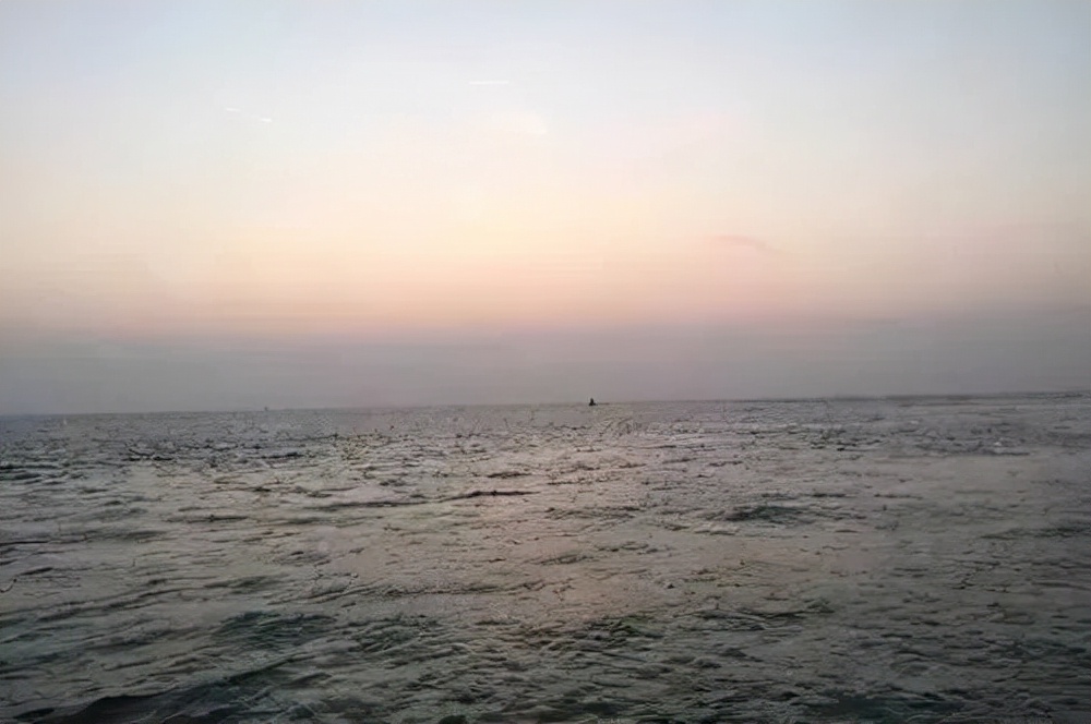 比利时大闸蟹泛滥怎么回事,来聊聊野生海鲜